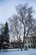 ������� � ������� ����