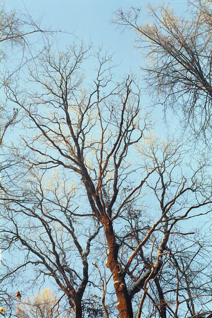 ��������� ����������