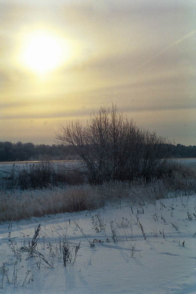 ��������� ����������